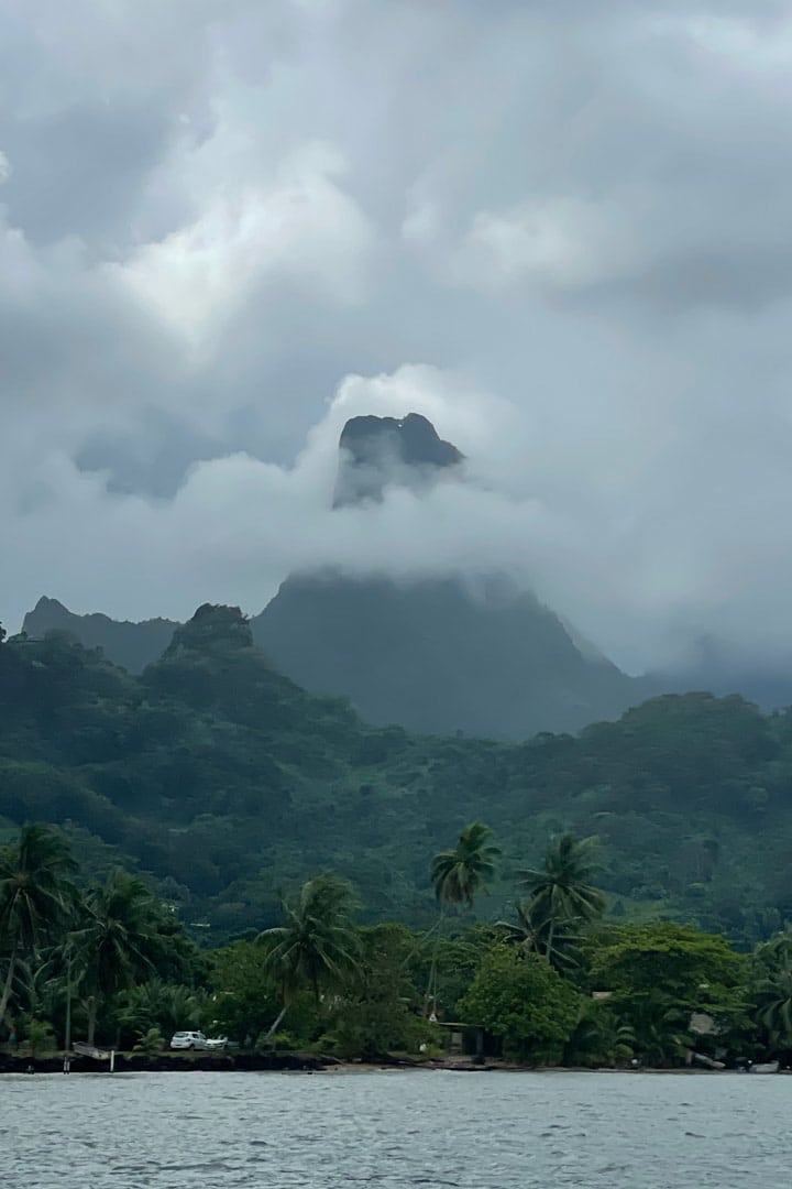 Randonnée pédestre Moua Puta Moorea